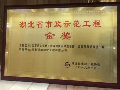 熱烈慶祝公司一(yī)舉摘得湖北(běi)省市政示範工(gōng)程金獎